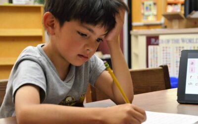 LPLC Debuts Self-Paced Dyslexia Course for Idaho Educators, Admin & Counselors as Reported by CBS2